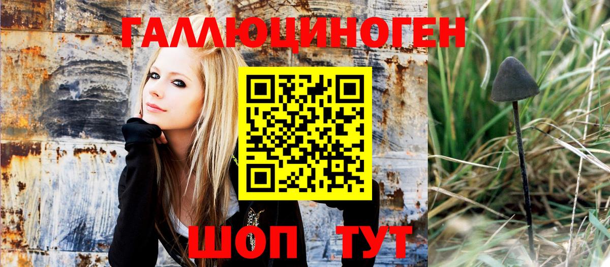 Галлюциногенные грибы Magic Shrooms  Вход с VPN  Серов  Галлюциногенные грибы ЛСД 