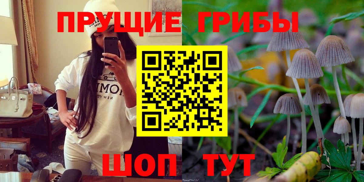 Псилоцибиновые грибы мухоморы Серов